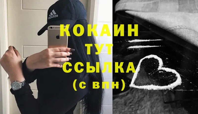 купить  сайты  Горбатов  Cocaine Fish Scale 